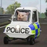 Police Cat