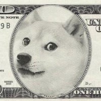DOGMONEY logo