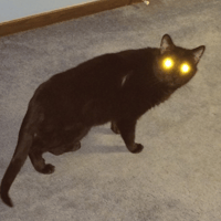 DARKY
