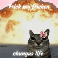Chungus Life