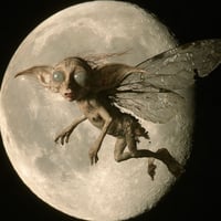 FAE logo
