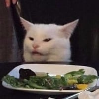 Smudge The Table Cat