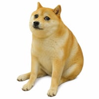 Cash Dog