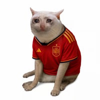 Spain Cat
