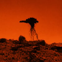 Martian Jellyfish