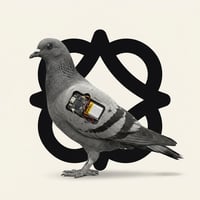 Logo de pigeon