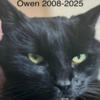 Owen