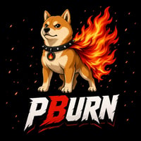 PBURN logo