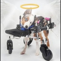 Rest in peace Teigan