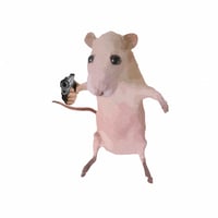 Fear of Mouse Outbreak