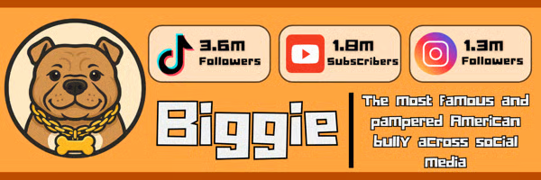 Header image for Biggie