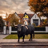 Sending Real Bull To Alons House logo
