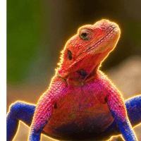 Lizard Spider-Man