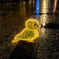 Parrot Under Hood