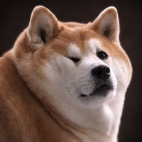 柴雄