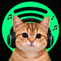 CATIFY