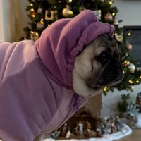 Chloe