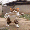 SALCAT