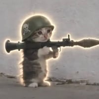 BAZUCAT logo