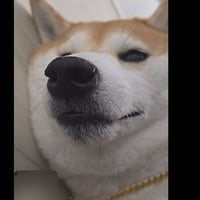 richdog