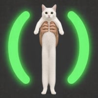 LongCat