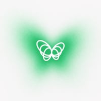 Butterfly Effect