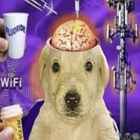 BRAINWASHED