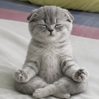 zen