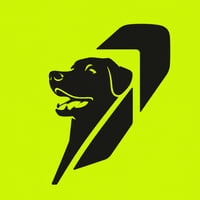 Robinhood Dog