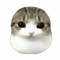 smoothcat