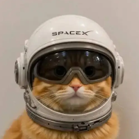 Pussy under helmet logo