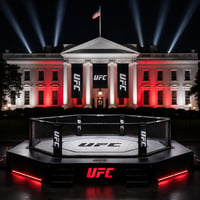 UFC White House