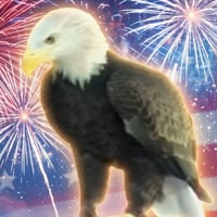 Challenger The Eagle logo