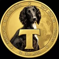 Taigan Coin