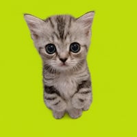 Milly
