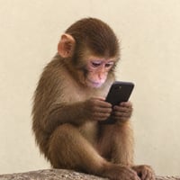 apeonfone