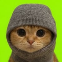 Sock & Pussy 500