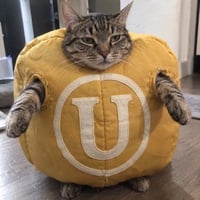 USELESSCAT logo