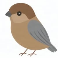 Sparrow