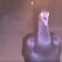 ALLAHUAKBAR