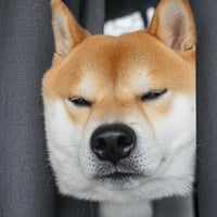 こむぎ (KOMUGI)
