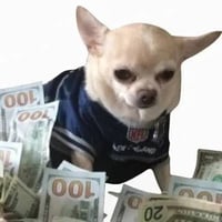 $moneydog logo