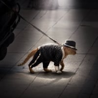 Michael Catson