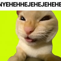 NYEHEHHEJEHEJEHEHE