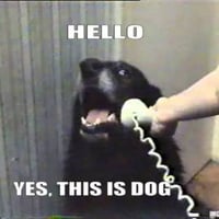 CALLDOG