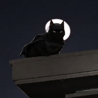 batcat