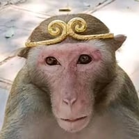 LAOLIU 猴老六