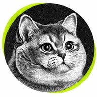 CMI logo