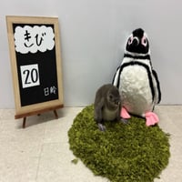 きび logo