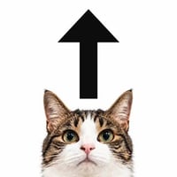 up
